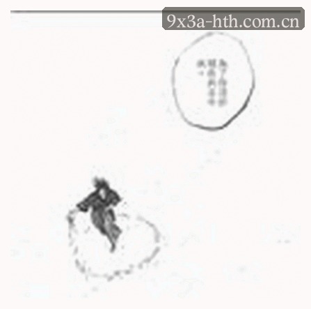 赵敏